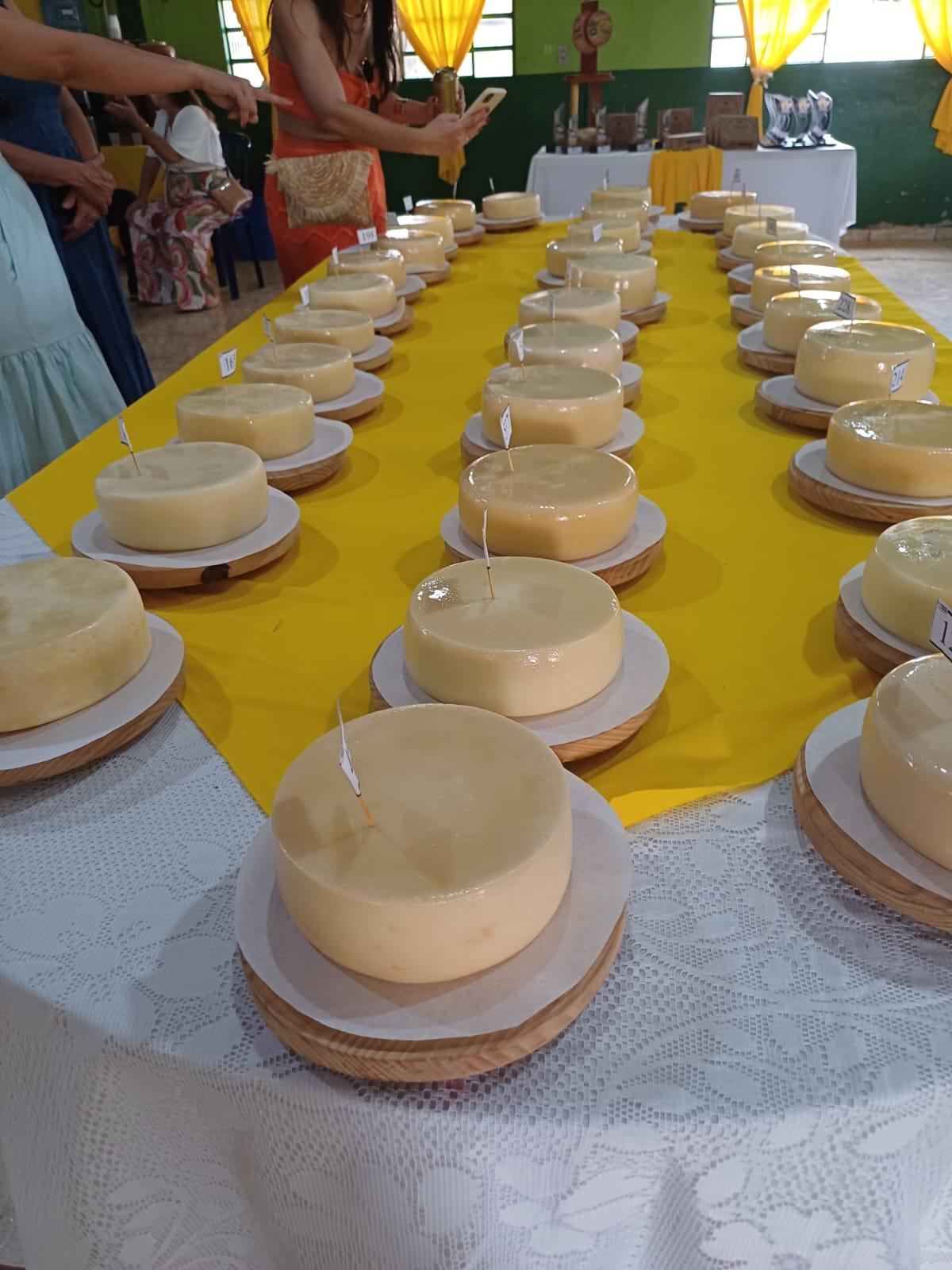 Concurso regional do Queijo Minas Artesanal da Canastra acontece em Bambuí nesta sexta-feira