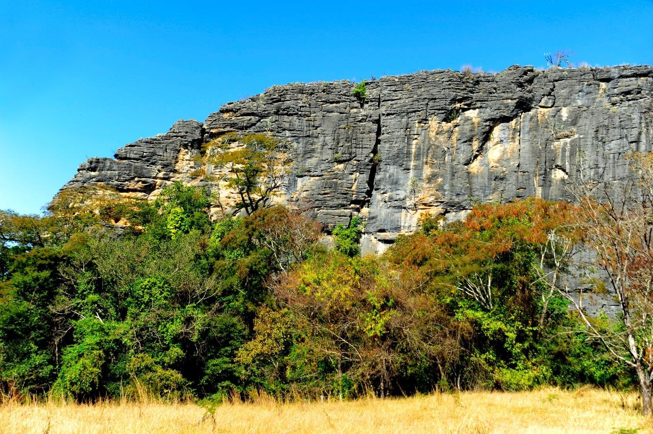 Desmatamento no Cerrado de Minas cai 34%