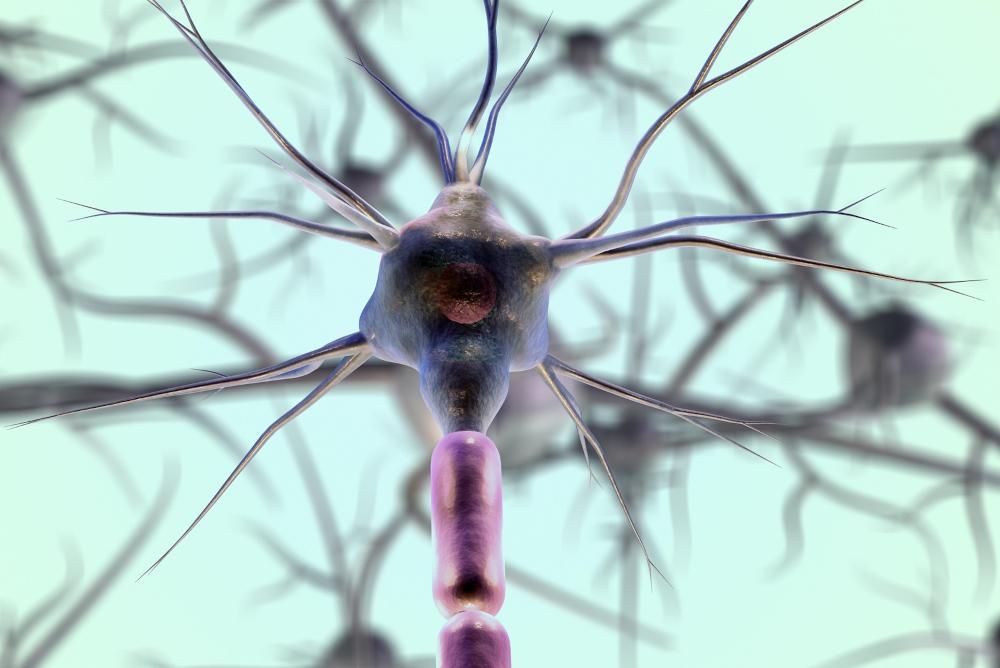 Grupo cria ferramenta para prever se medicamento contra esclerose múltipla será eficaz para paciente