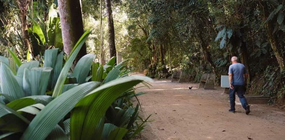 Inscrições abertas para a Caminhada Noturna no Parque do Museu Mariano Procópio em Juiz de Fora