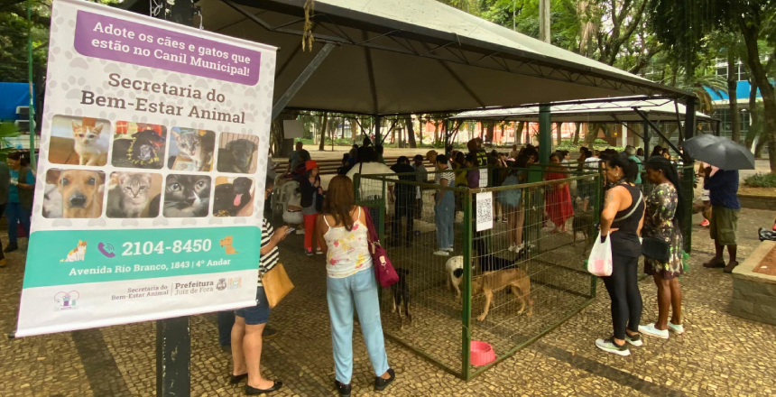 Juiz de Fora realiza novo evento de adoção de cães e gatos no Parque Halfeld neste sábado (09/08)