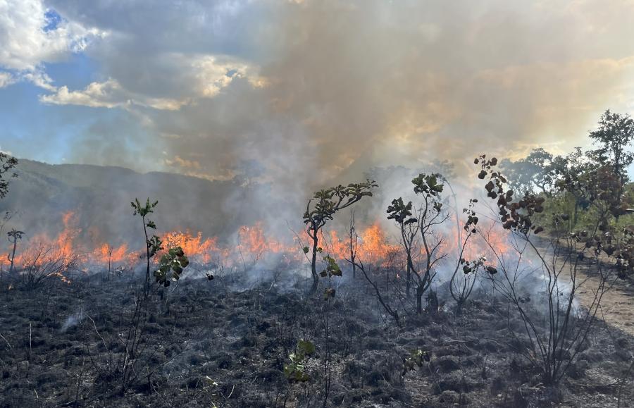 Livro reúne décadas de pesquisa sobre o papel do fogo em ecossistemas sul-americanos