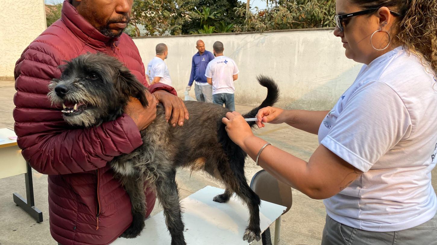 Minas Gerais inicia campanha de vacinação contra a raiva em cães e gatos