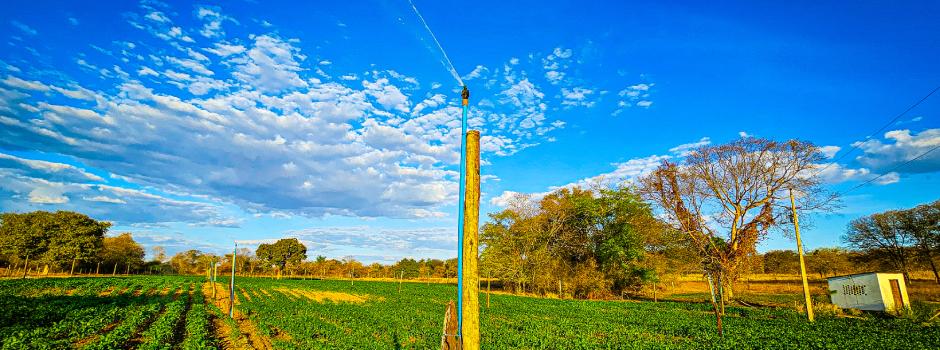 Nova lei de irrigação em Minas Gerais facilita acesso à água e impulsiona produtividade no campo