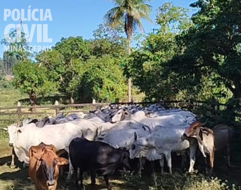 Polícia Civil prende suspeitos de lavagem de dinheiro e tráfico de drogas em Ubá