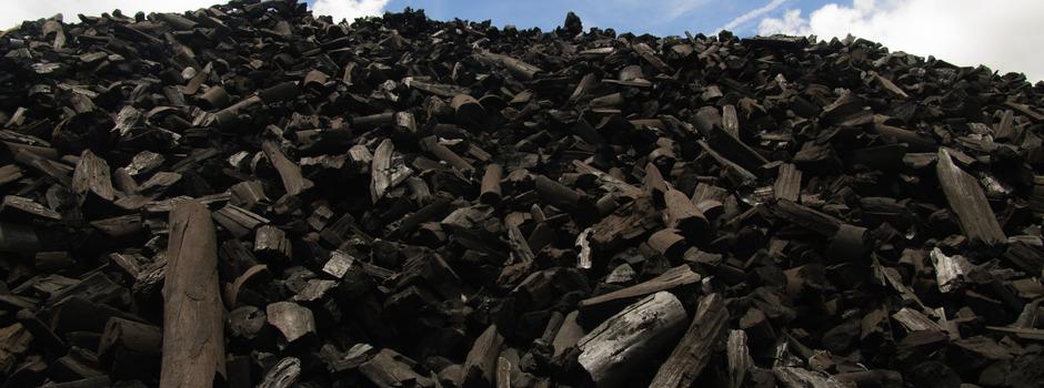 Preço do carvão vegetal divulgado em MG