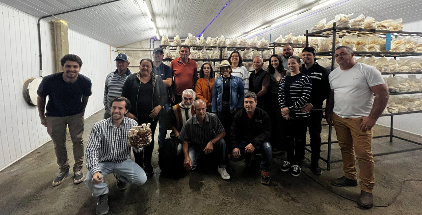 Produtores rurais de Juiz de Fora conhecem cultivo de cogumelos como alternativa sustentável e rentável