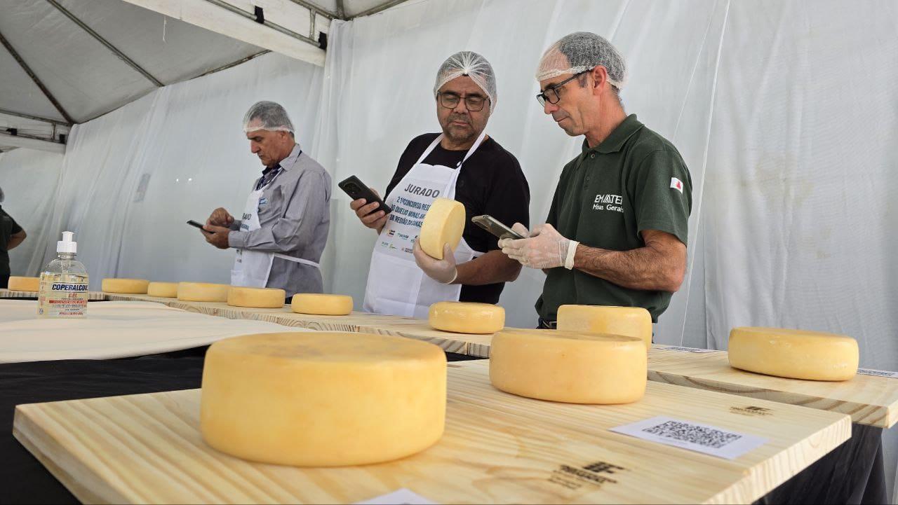 Resultado do 21º Concurso Regional do Queijo Minas Artesanal da Canastra é divulgado
