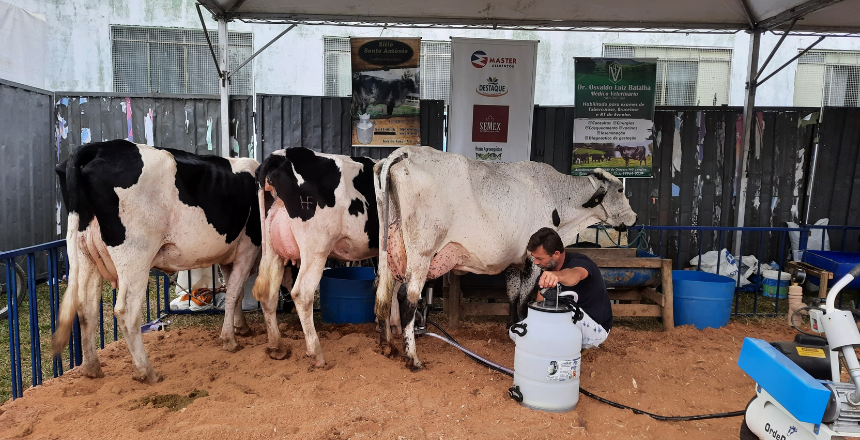 XII Agrofest e 9º Torneio Leiteiro de Vila Almeida encerram circuito agropecuário de 2025 com música, cavalgada e lazer
