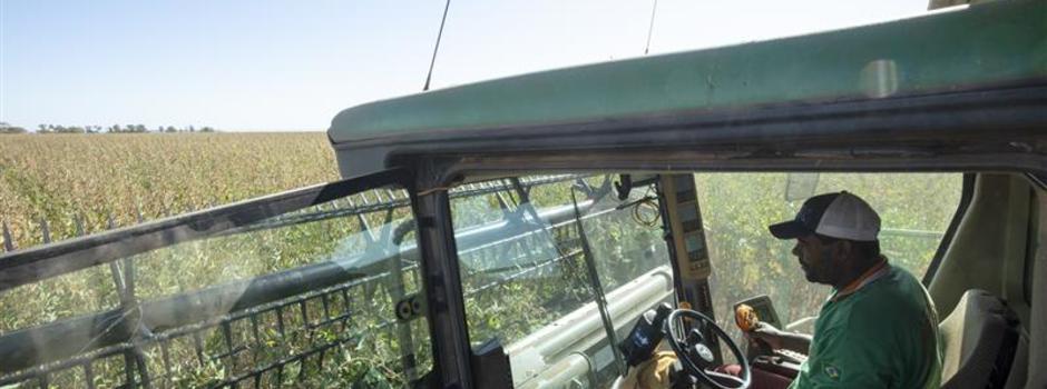 Agricultura sustentável terá crédito com mentoria