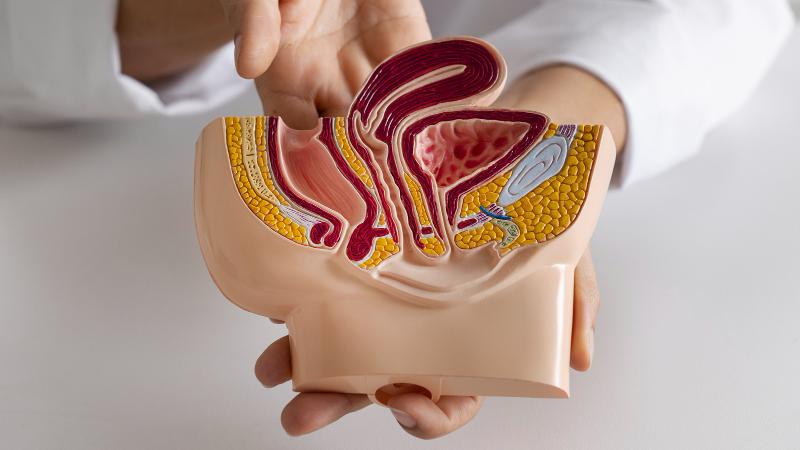 Ancestralidade e variantes genéticas influenciam risco de câncer colorretal