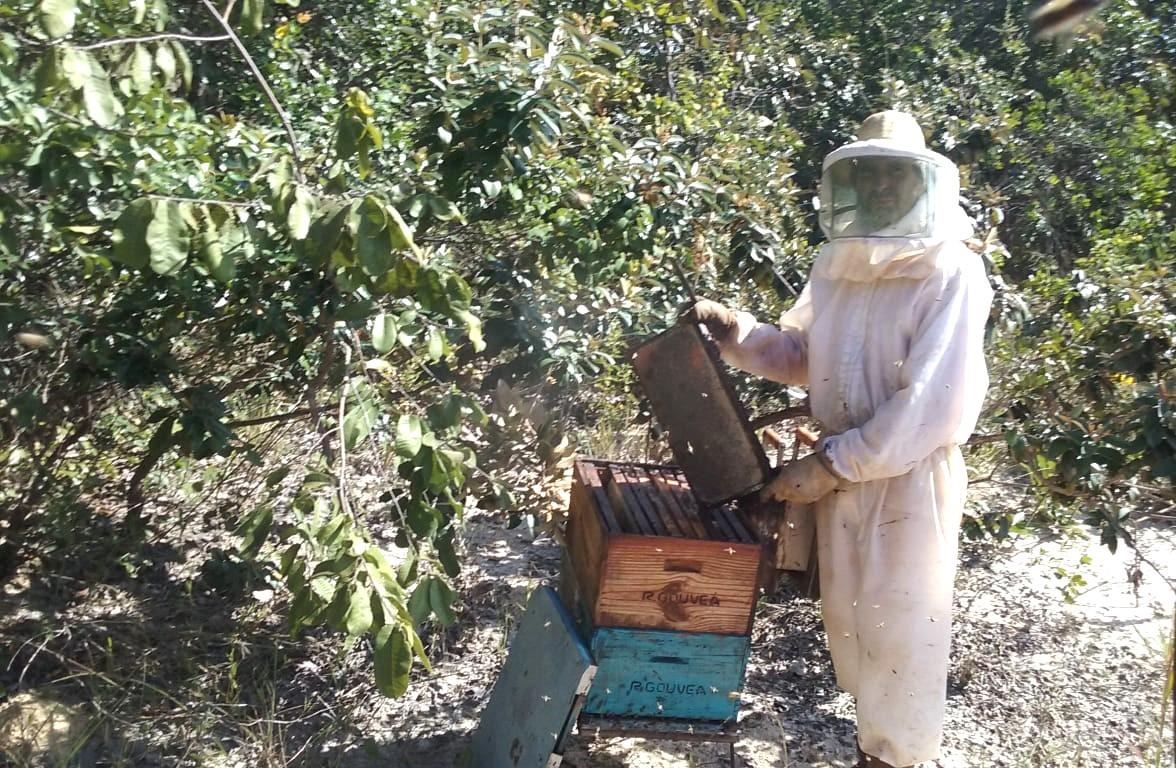 Apicultor de Três Marias fortalece sucessão familiar e produção sustentável de mel em Minas Gerais