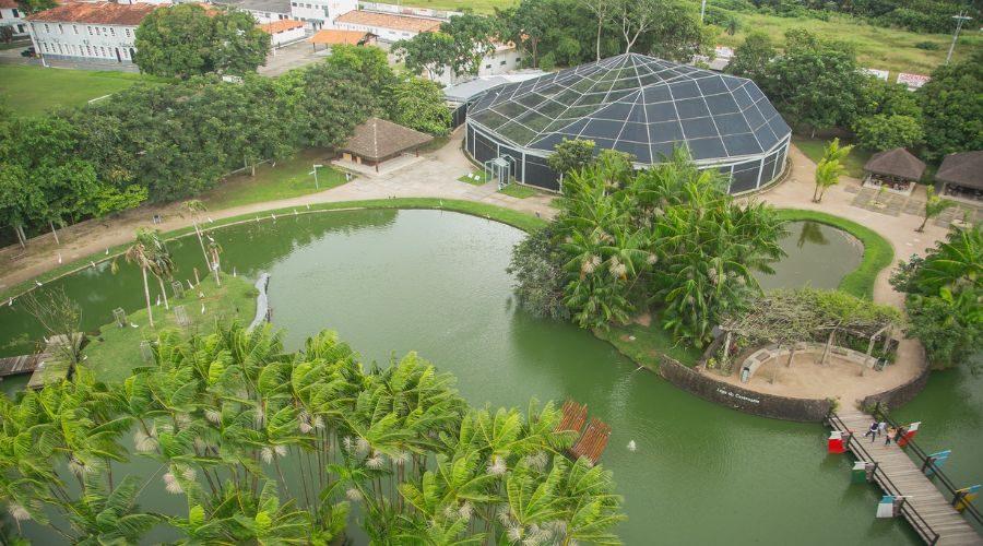 COP30 em Belém expõe desafio do inglês: Brasil está pronto para receber 190 países?