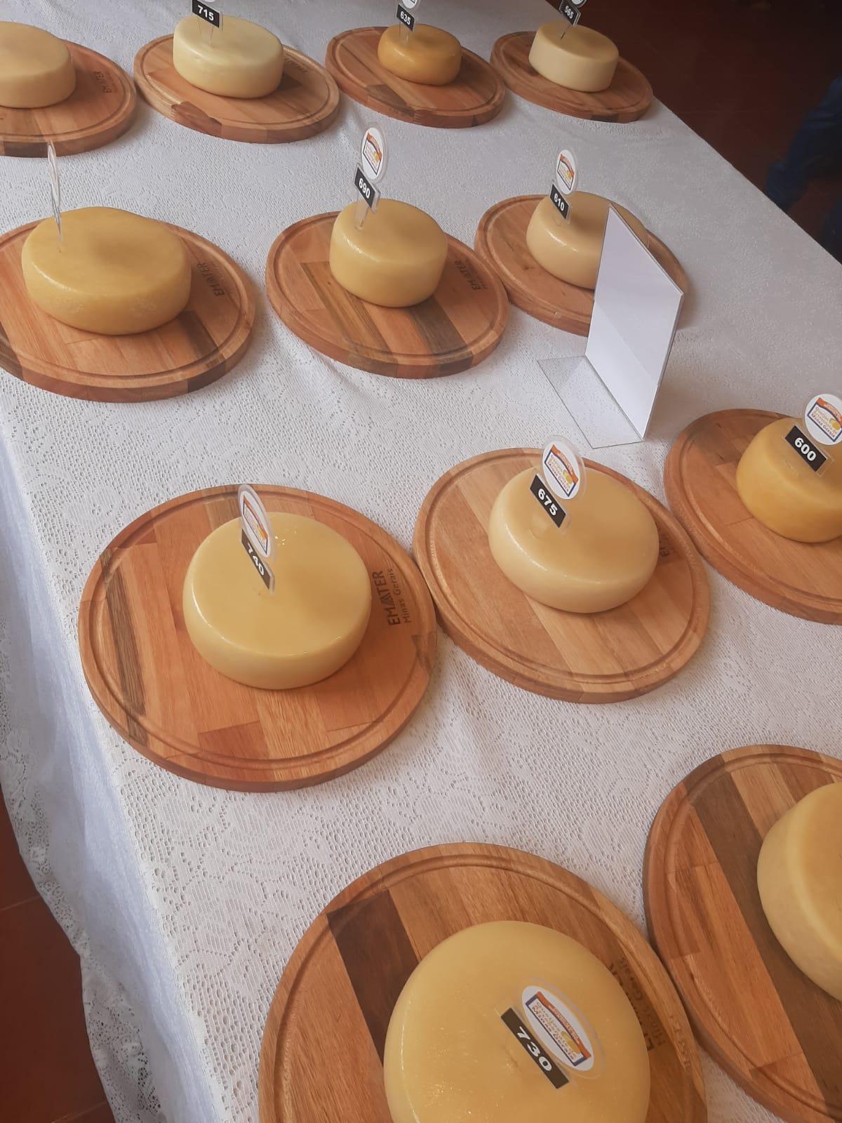 Especialistas avaliam os melhores queijos artesanais de Minas Gerais em concurso estadual
