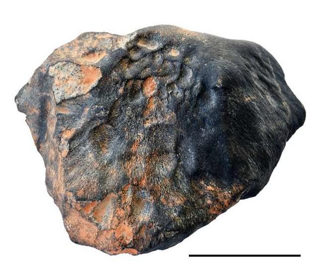 Exposição de meteoritos na Câmara dos Deputados