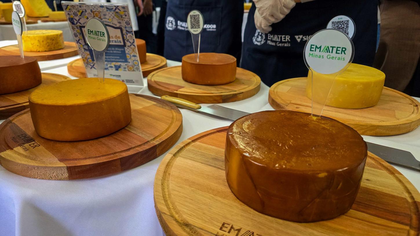 Governo de Minas premia os melhores Queijos Artesanais do estado