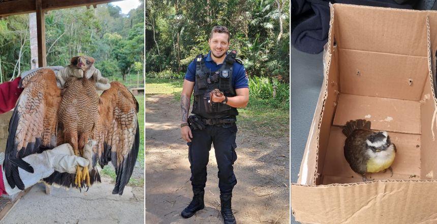 Guarda Municipal resgata três aves em Juiz de Fora
