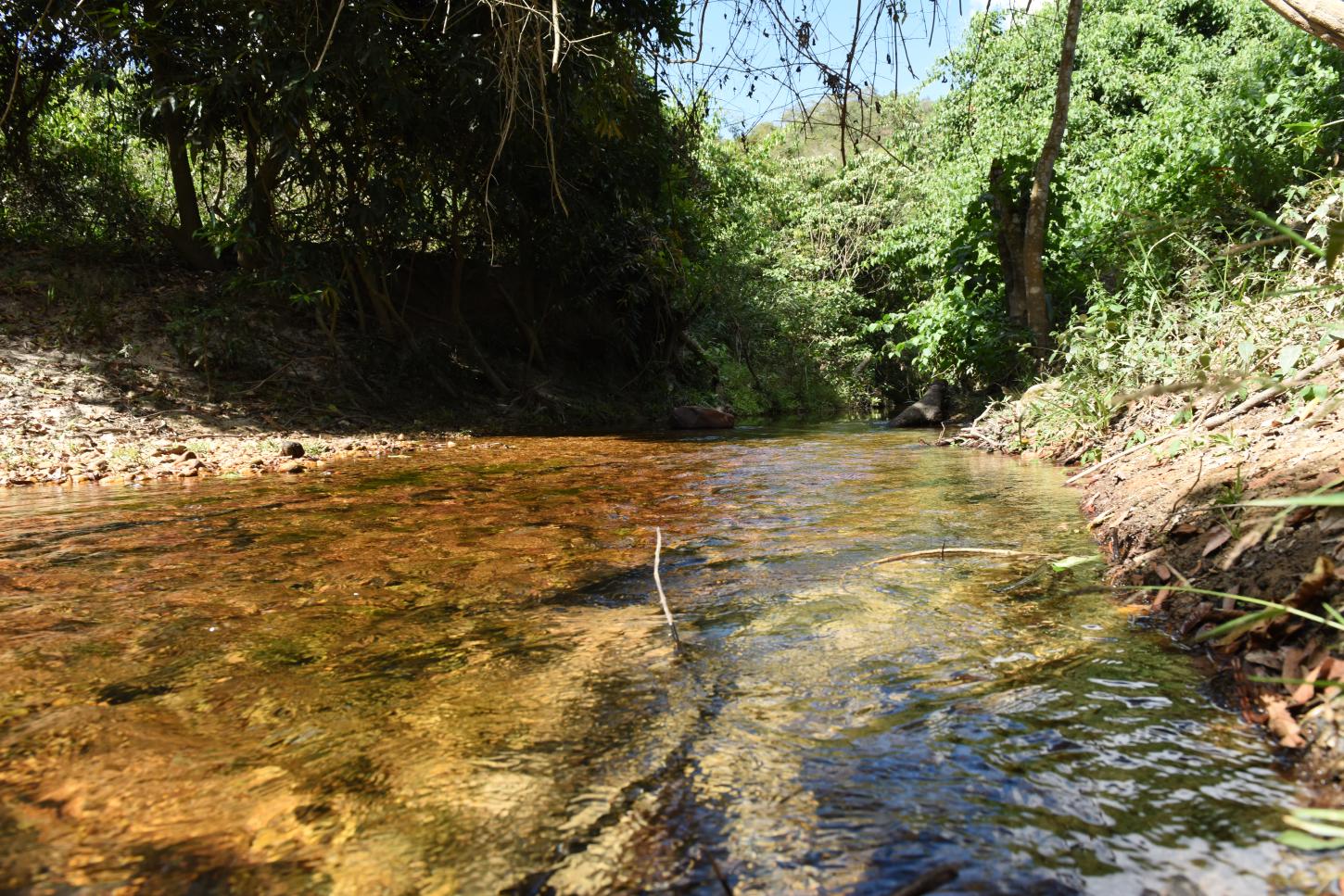 I Etapa Estadual do Circuito Mineiro de Agroecologia começa hoje em Goianá