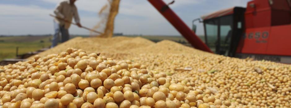 PIB de Minas Gerais cresce 1,2% no segundo trimestre e soma R$ 305,4 bilhões