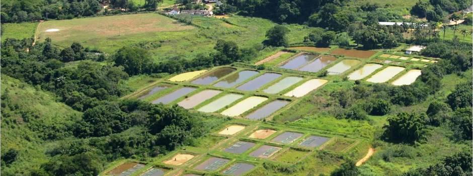 Piscicultura em Felixlândia recebe nova estrutura da Epamig