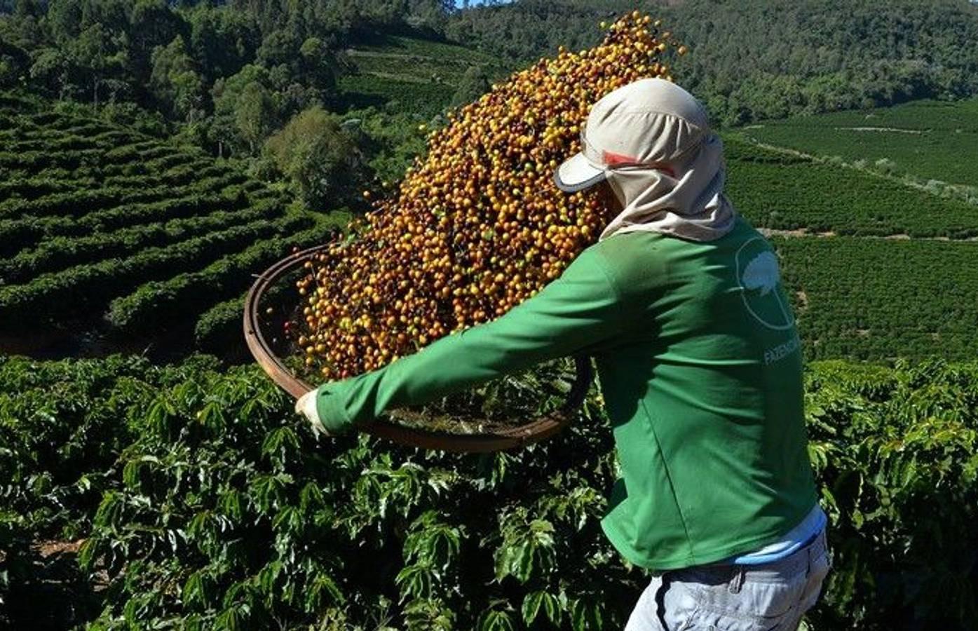 PIB de Minas Gerais atinge R$ 305,4 bilhões no segundo trimestre de 2025