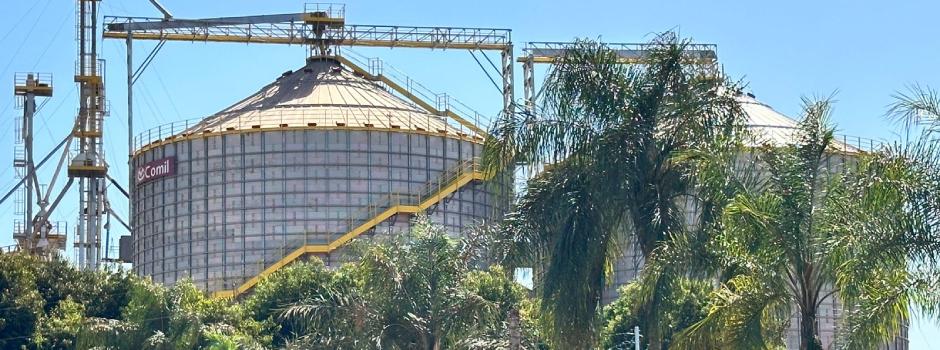 BDMG lança linha de crédito sustentável para produtores