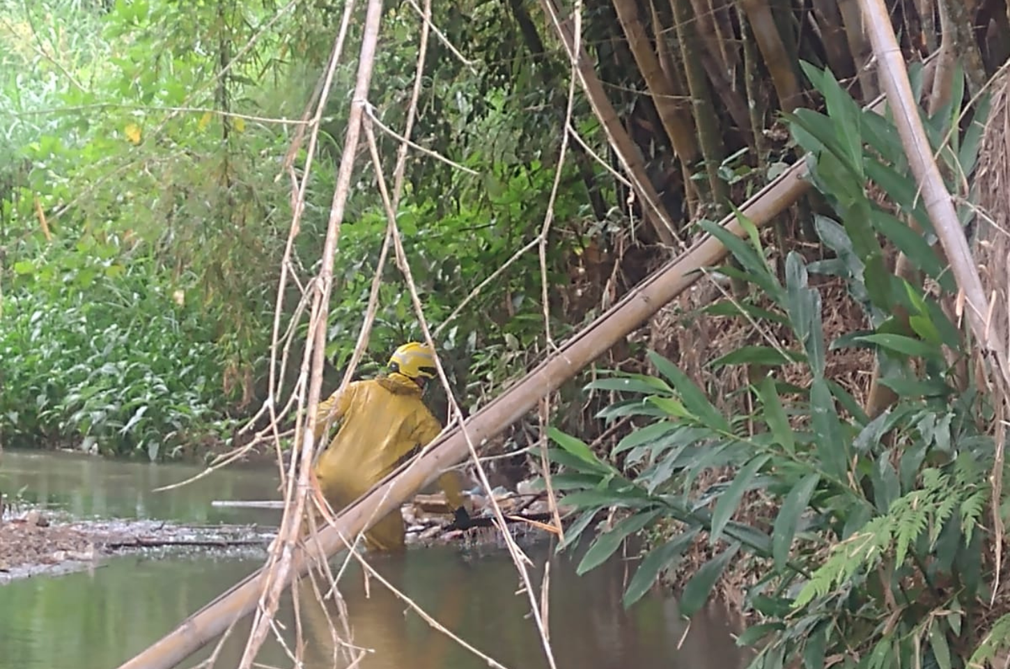 Corpo em decomposição é achado às margens de córrego