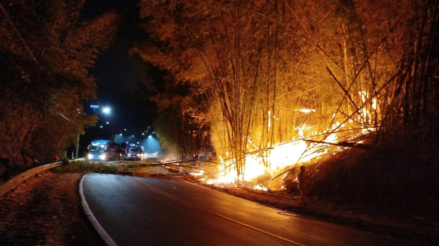 Incêndio em bambuzal interdita estrada e atinge rede elétrica em Juiz de Fora
