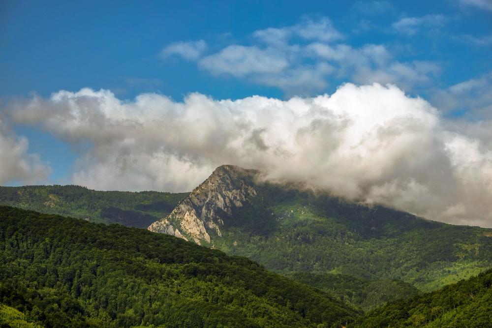 São José dos Pinhais um clima subtropical de altitude