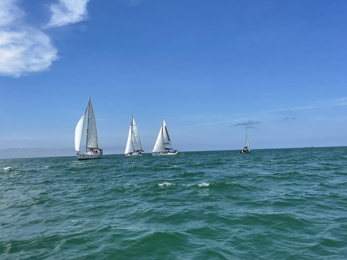 Semana de Vela movimenta Itajaí com atividades gratuitas
