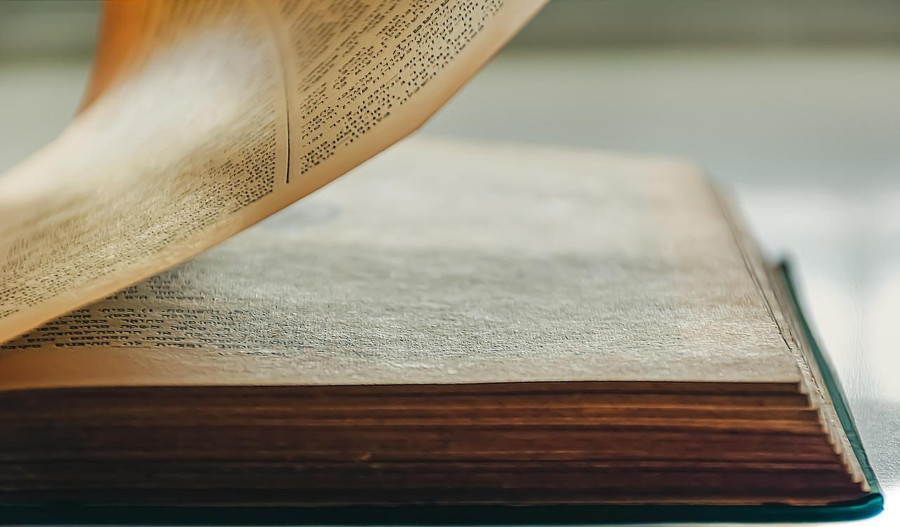 Um presente que marca para sempre: como os livros infantis moldam memórias e valores