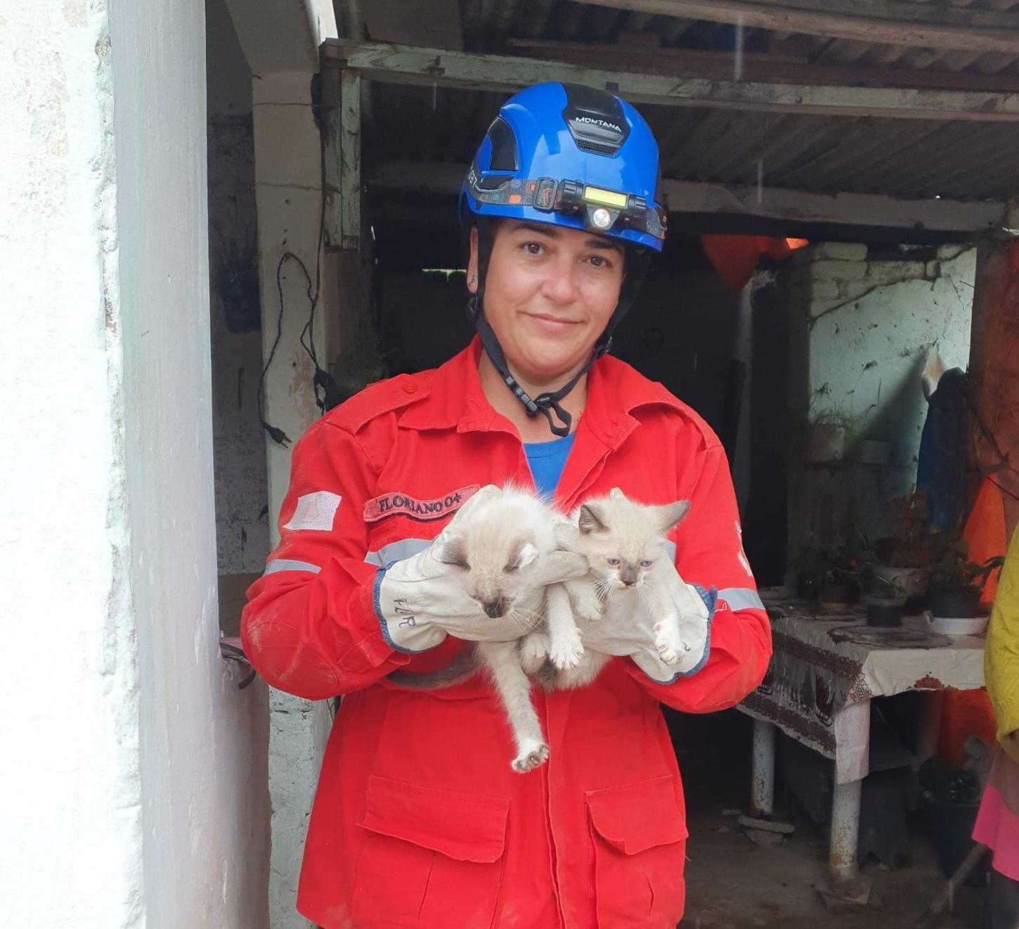 Brigada Municipal salva filhotes de gato presos em cisterna de 6 metros