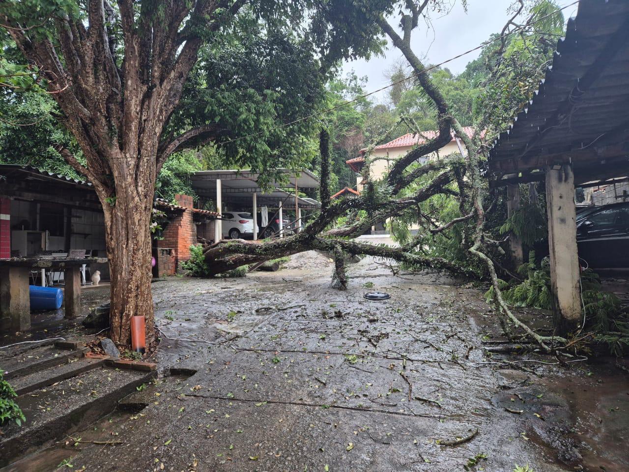 Fortes chuvas derrubam árvores sobre veículos em condomínio de Barbacena