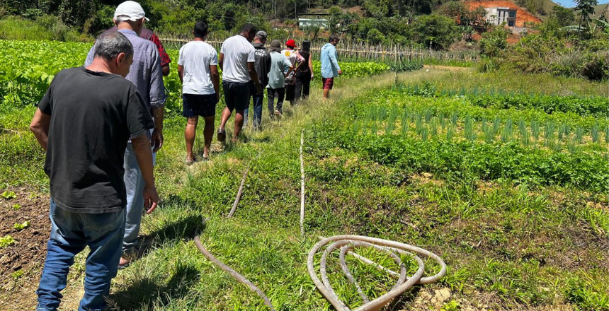 Hortas socioassistenciais são fortalecidas em Juiz de Fora