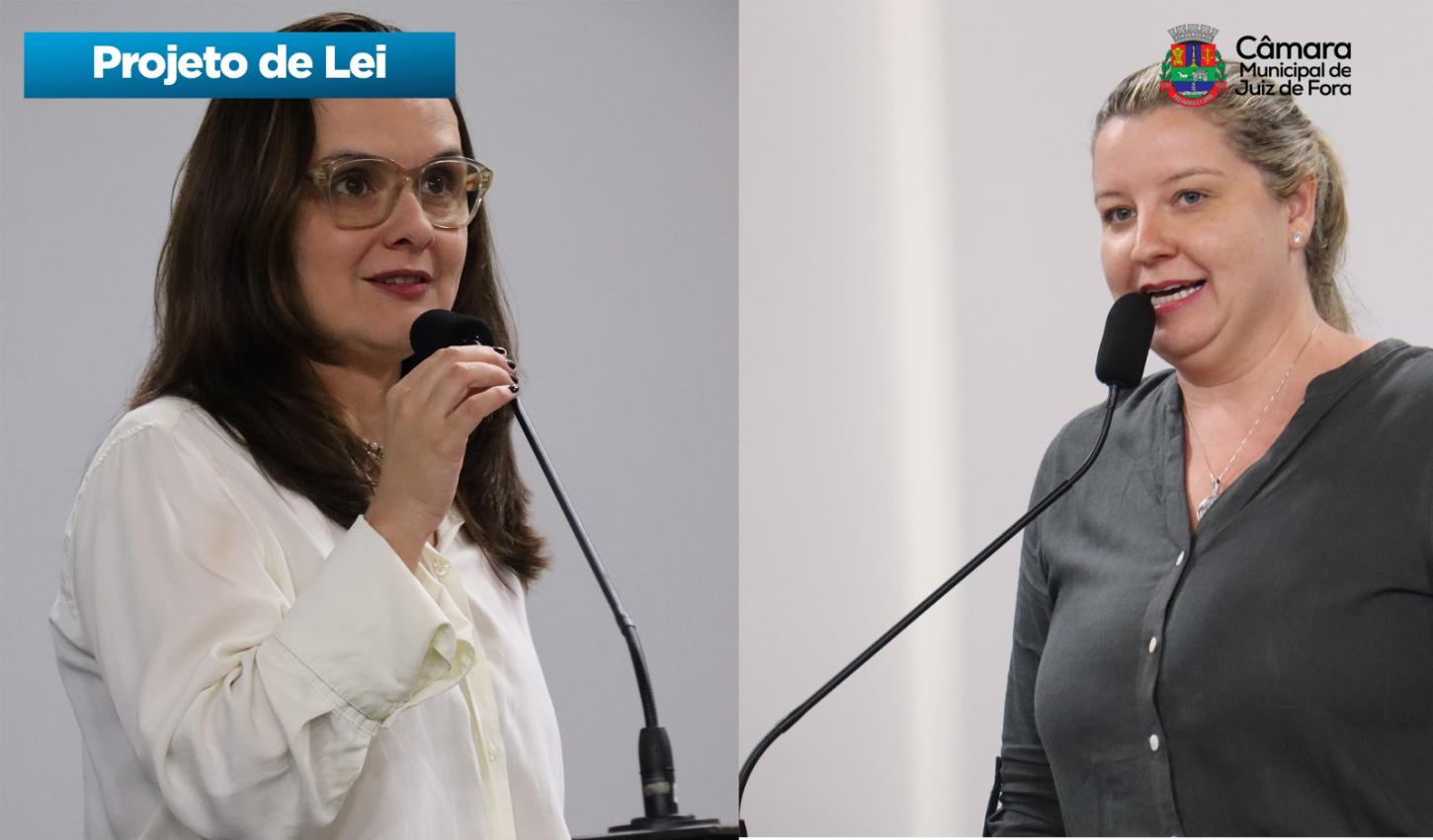 Programa Municipal Mulheres Guardiãs avança na Câmara