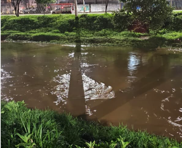 Honda Civic cai no Rio Paraibuna após motorista perder o controle da direção