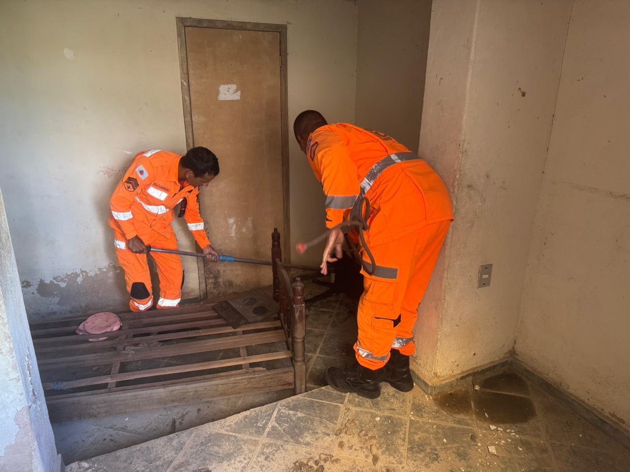 Polícia Ambiental resgata cão após denúncia de abandono em Juiz de Fora