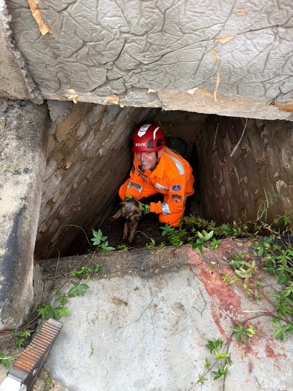 Bombeiros de Barbacena resgatam cadela que caiu em bueiro no bairro Santa Tereza
