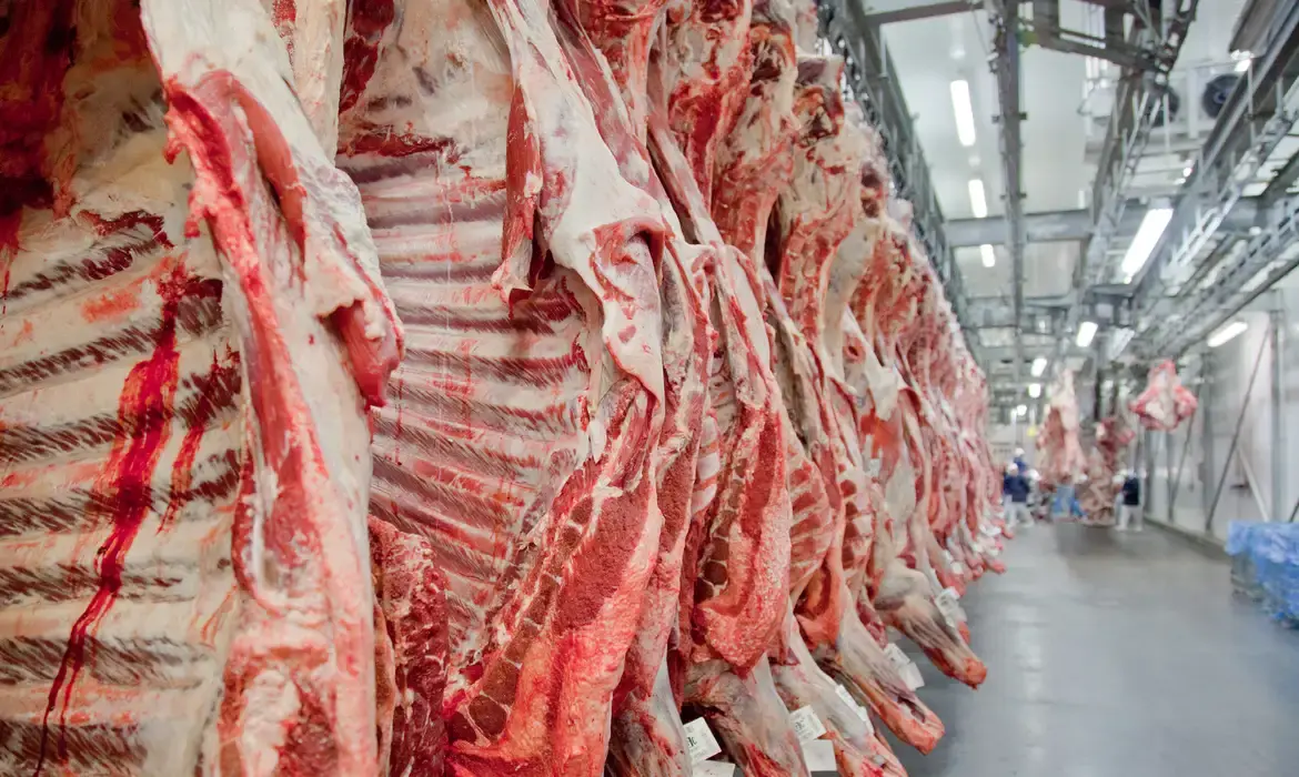 China impõe tarifa de 55% sobre carne bovina e sindicato alerta para impacto nas exportações brasileiras