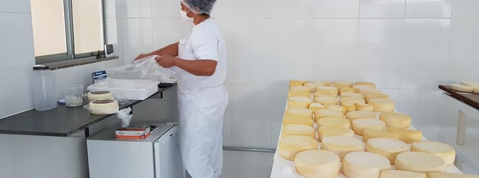 Dia Mundial do Queijo: agroindústrias familiares de Minas produziram 43 mil toneladas em 2025