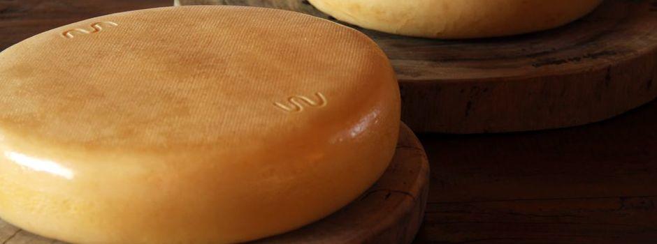 Dia Mundial do Queijo reforça a importância da inspeção e da valorização dos queijos artesanais mineiros