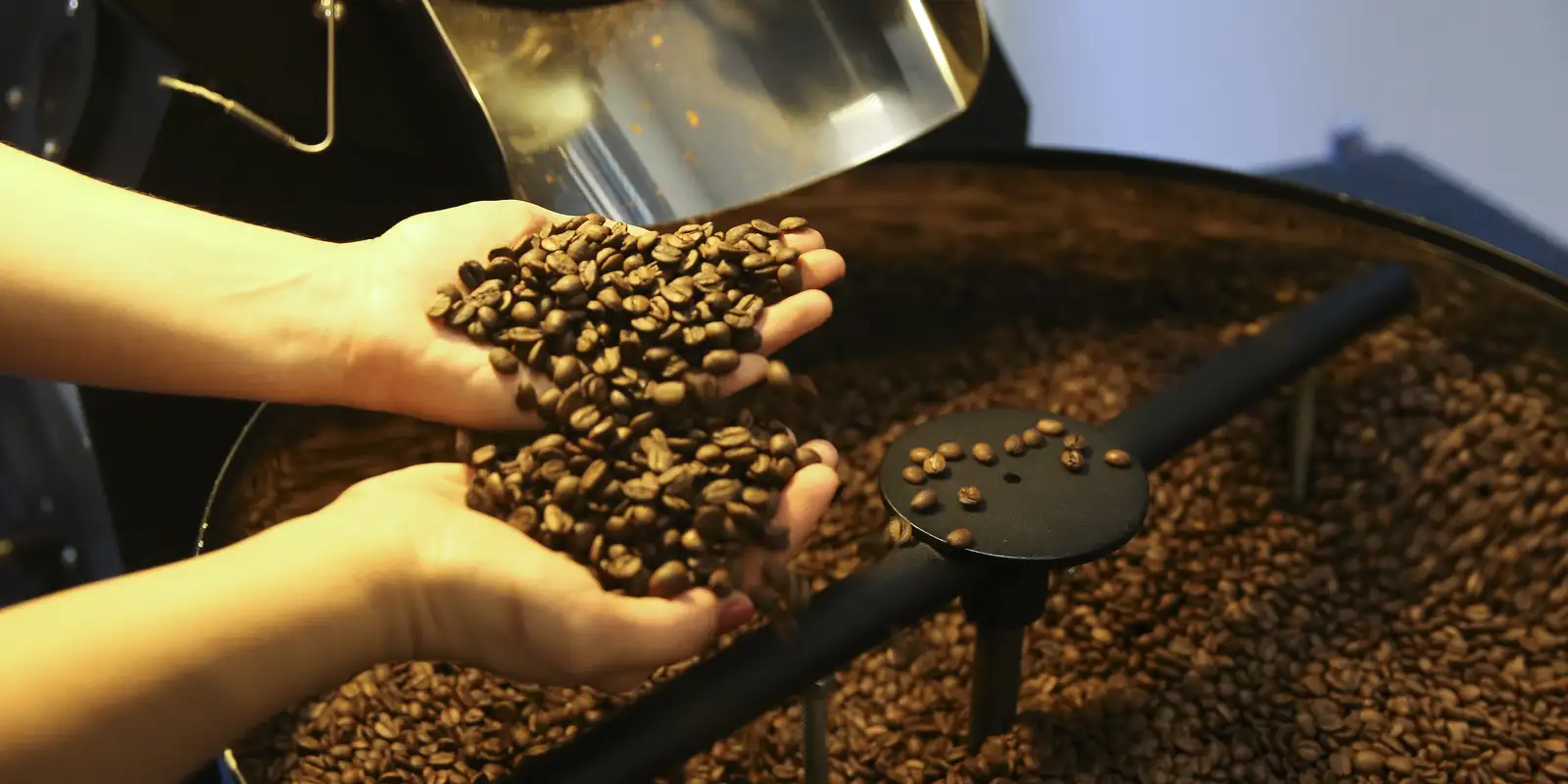 Exportação de café do Brasil recua em 2025, mas alcança receita recorde
