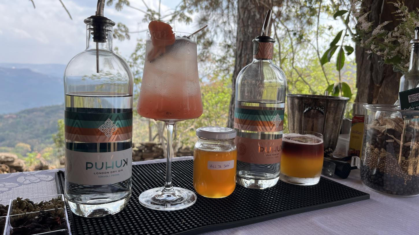 Família de Nova Lima cria o primeiro gin do Brasil com mel de abelhas nativas