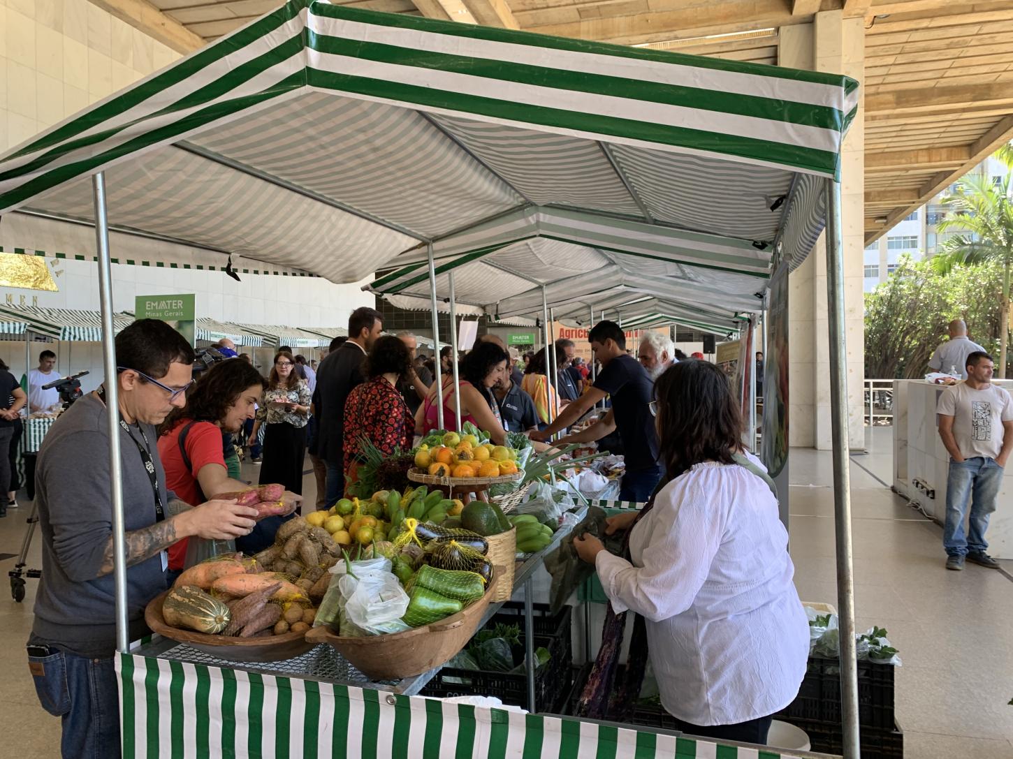 Feiras livres geram renda para agricultores de quase 700 municípios mineiros