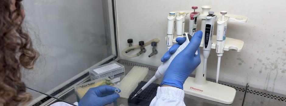 Funed intensifica pesquisas e diagnósticos no Dia Mundial das Doenças Tropicais Negligenciadas