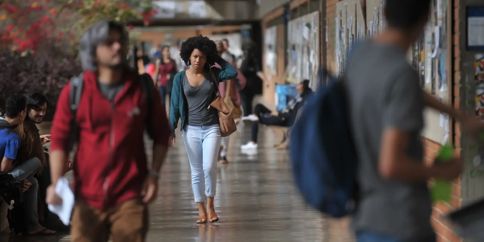 Inscrições para o programa Pé-de-Meia Licenciaturas iniciam em 17 de fevereiro