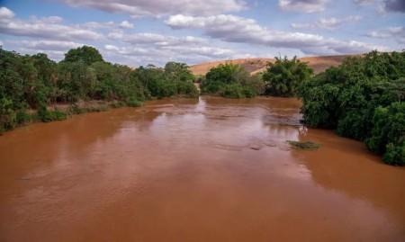 Peixes do rio Doce continuavam contaminados quatro anos após desastre de Mariana