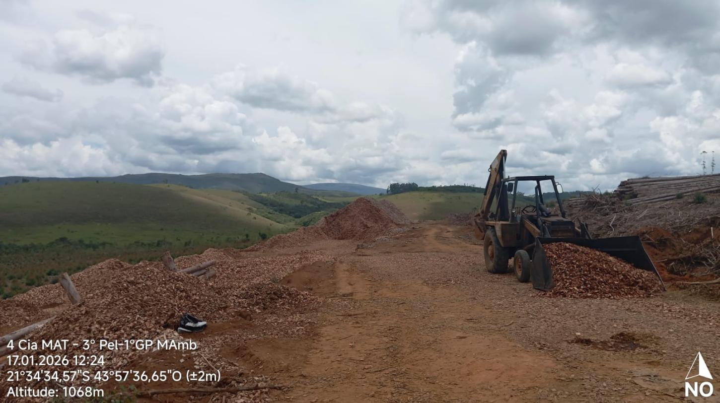 Polícia Militar de Meio Ambiente apreende carga irregular de madeira em Santa Rita do Ibitipoca