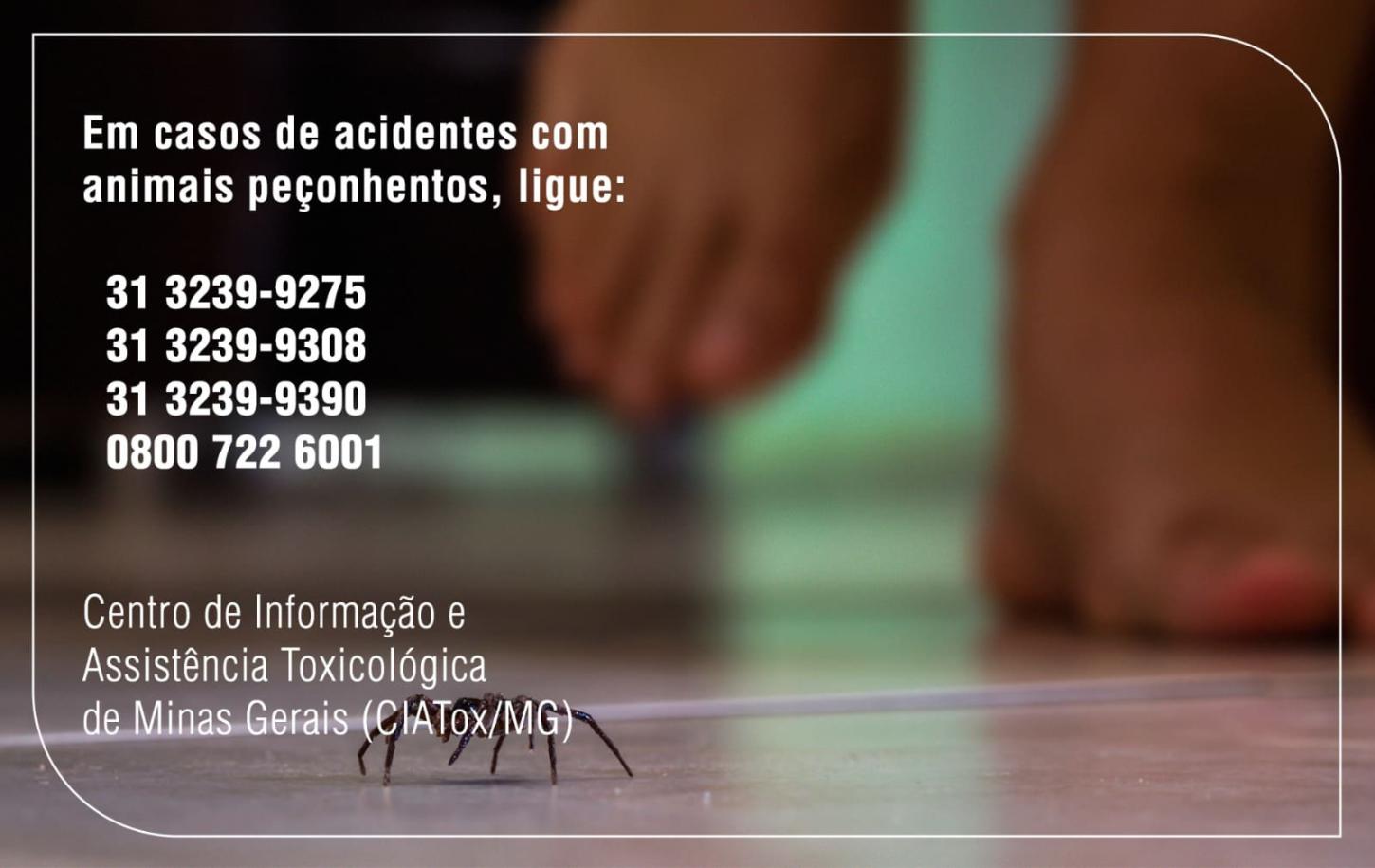 Fhemig / Divulgação