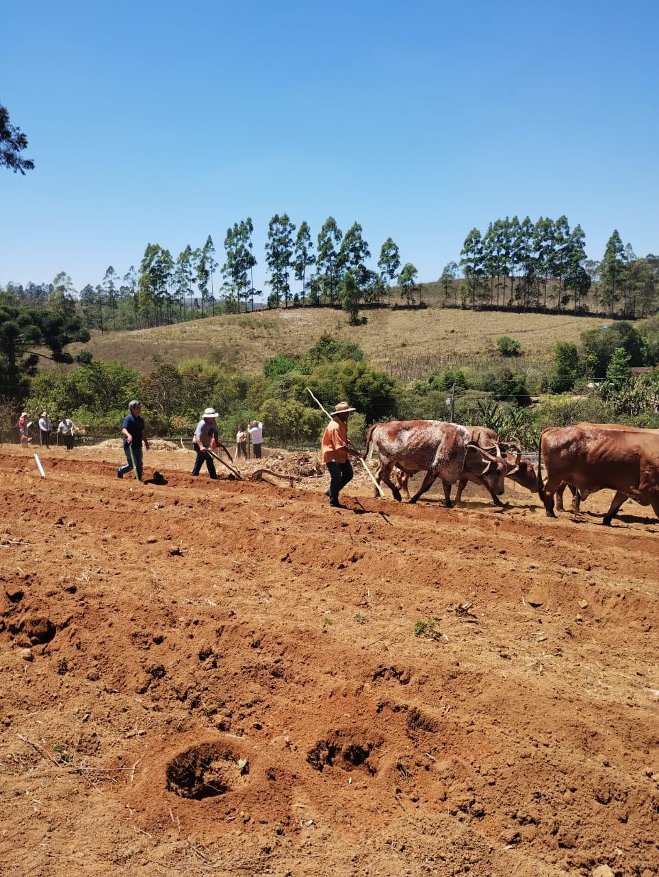 Programa Futuro no Campo incentiva jovens a permanecerem na zona rural em Minas Gerais
